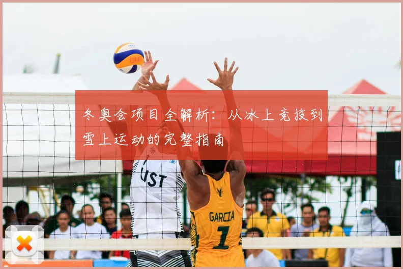 冬奥会项目全解析：从冰上竞技到雪上运动的完整指南