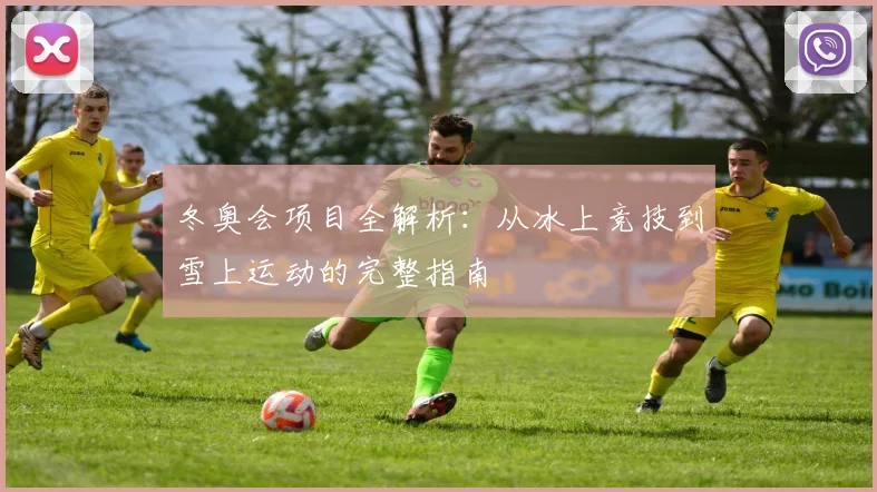 冬奥会项目全解析：从冰上竞技到雪上运动的完整指南