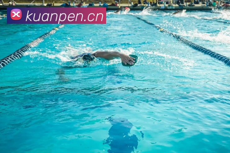 开云kaiyun官方入口APP 封面图